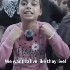 Poppy Liu Instagram - when i close my eyes all i can see are the images coming out of rafah. i don’t really have words. have you been radicalized yet?