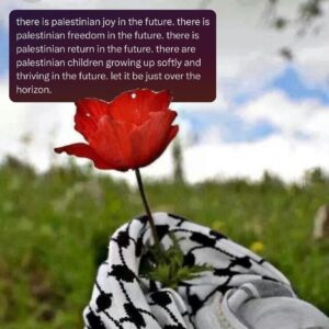 Poppy Liu Instagram - 1.5 million palestinians displaced. 610,000 children sheltering in rafah as it is currently being invaded. 40,000  murdered, 14,000 of whom are children. 1000’s more still crushed under the rubble. 8,000  palestinian hostages held illegally in israeli jails. 1,000  children who have received amputation without anesthesia. 500  doctors and medical professionals targeted, tortured,and killed. 150  journalists (and their families) targeted and killed. every single university in gaza destroyed, almost the entirety of gaza decimated by bombs. now the only border crossing has been closed by the IOF, and israel’s ground invasion of rafah begins.

we will have to look back on this time, we will have to tell our children about gaza, they will ask us how this could’ve happened. how will you answer? who were you at this moment? what did you do? stay focused, stay vigilant, all eyes on rafah.