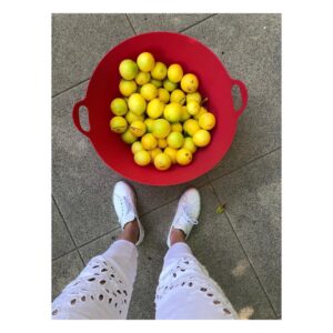 Portia Doubleday Instagram - When life gives ya lemons...