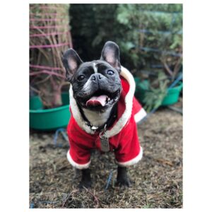 Portia Doubleday Instagram - I mean...❤️🎅🧣🎄☃️❄️🎁