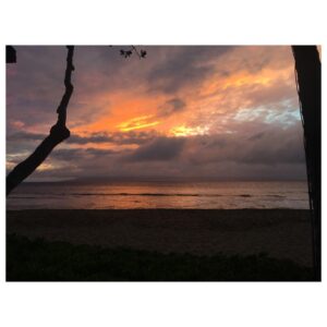 Portia Doubleday Instagram - 20 mins later...