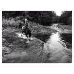Portia Doubleday Instagram - Just whatcha need. Catskills ❤️