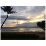 Portia Doubleday Instagram -