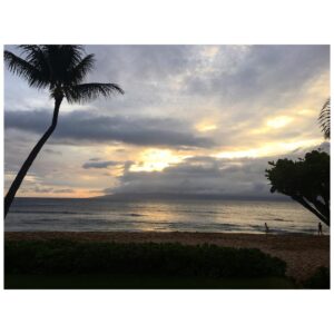 Portia Doubleday Instagram - 