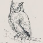 Posuka Demizu Instagram – 🦉