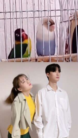 Praepetch Udomsartporn Instagram - 왜 나 혼자 신나? 🦜