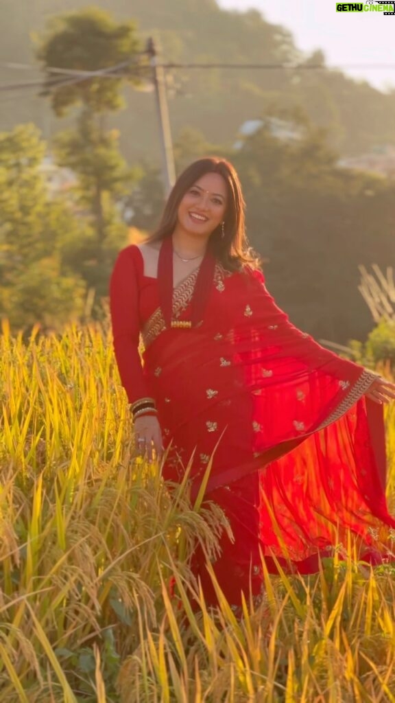 Prakriti Shrestha Instagram - Nepali Naari in Dhaan baari 😄😋.. By the way, Nepal ko dhaan baari is mandatory for good pictures and videos. Do you agree ? 🤭🎶🎼🎶