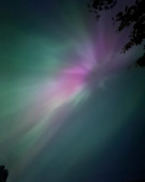 Pramila Jayapal Instagram - Incredible night sky with Aurora Borealis in west Seattle! Magical universe.🪄