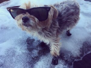 Priscilla Faia Instagram - Happy Valentine's Day from my little snow bunny to you! 💓 #gabby #snowboots #verymad