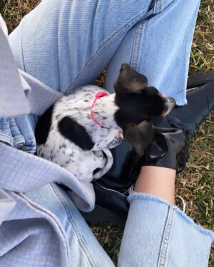 Priscilla Quintana Instagram - I know this is what you’ve all been waiting for. I present to you the one & only… bestest girl ever/ chapstick stealing/ toe biting/ endless kissing/ won’t let you sleep when you’re tired but it’s okay bc she’s so cute/ entire love of my life: ROO 🤍