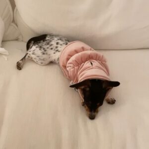 Priscilla Quintana Instagram - I know this is what you’ve all been waiting for. I present to you the one & only… bestest girl ever/ chapstick stealing/ toe biting/ endless kissing/ won’t let you sleep when you’re tired but it’s okay bc she’s so cute/ entire love of my life: ROO 🤍