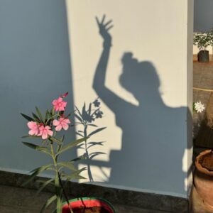 RJ Ananthi Instagram - “Be poetic. If it makes you glad to be alive then it’s not silly. You look for the beauty of things, be proud of that.”
~ Someone🖋️

#rjananthi #mahamaitri🏡
