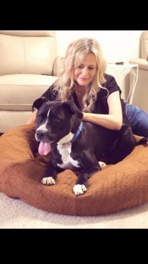 Rachael Carpani Instagram - Meet Billy 🐶
He’s my brother and sister in-laws’ VERY energetic and large puppy….who I get to babysit & he just got the best present 🎉🎉🎉!! 
*
His new bed is from @sashbeds ….and yes : he has now taken full ownership …hard to get him off it - which is hilarious for a pup who couldn’t keep still !😂
*
He’s very spoilt, it’s double padded ,luxurious, lightweight  material for the summer , and most importantly for Billy …self soothing , so relaxing…so now apparently he takes afternoon naps …😁😴. (Yes I did try it out myself & I’m a little jealous😂)
*
His bed is called The Premium Teddy Bed …and this colour is perfect for pups like Billy who can’t be trusted with white !😅
*
It’s Australian owned , delivery Australia wide and machine washable
💛💛💛
and for $10 off your purchase feel free to use the discount code RACHAELC10 
💛💛💛
Check out all the beautiful colours & styles @sashbeds …and a big Thankyou them for magically calming beautiful Billy, and making him one VERY happy puppy dog !! 
💛💛💛
(And yes I’m also surprised that no Carpo’s were injured during the unboxing 📦😎…usually not the case ) 
*
*
*
*
#luxurydogbed #sashbeds #doglovers #puppiesofinstagram #puppylove #gifted 🐶🐶🐶
💛💛💛