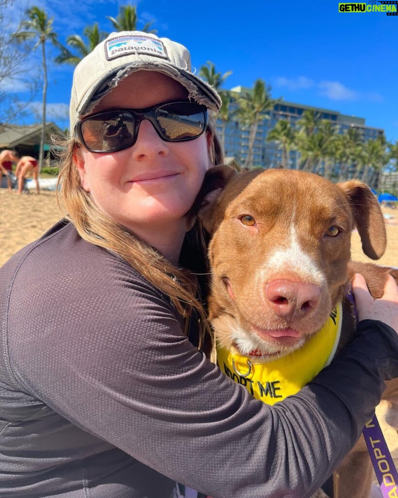 Rachael Leigh Cook Instagram - Hi this is DJ! This cute little boy was fostered by my cousin Geoff and his wife Nicole in Hawaii and he’s now up for adoption there! They were (and are) obsessed with him and how sweet he is and wish they could bring him home to CA but can’t because they have their own antisocial dog already at home. Geoff is the kind of human and cousin who has never once asked me for one tiny favor EVER, so when he reached out to ask me to post for DJ I knew it was urgent, important and that he was a real gem of a pup. If you know of someone looking to adopt or foster in Hawaii - OR Nicole and Geoff has even offered to pay to fly him here to the mainland to a good home! - please consider this sweet little boy as an addition to your happy home. Nicole’s IG is @tahitigirl125 with any questions ❤️ 🐶 ❤️ 🐕 ❤️