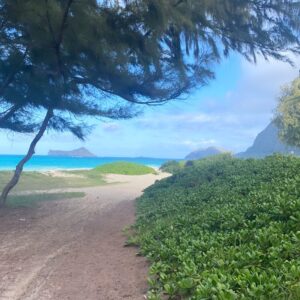 Rachel Boston Instagram - Aloha 🌈🏄🏻‍♀️