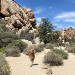 Rachel Hurd-Wood Instagram – A very memorable day in Joshua Tree. 

We climbed, wandered and stayed hydrated! 💧 

My shorts and top are from the wonderfully sustainable and chic @alohas 🦋 

#gifted #joshuatree