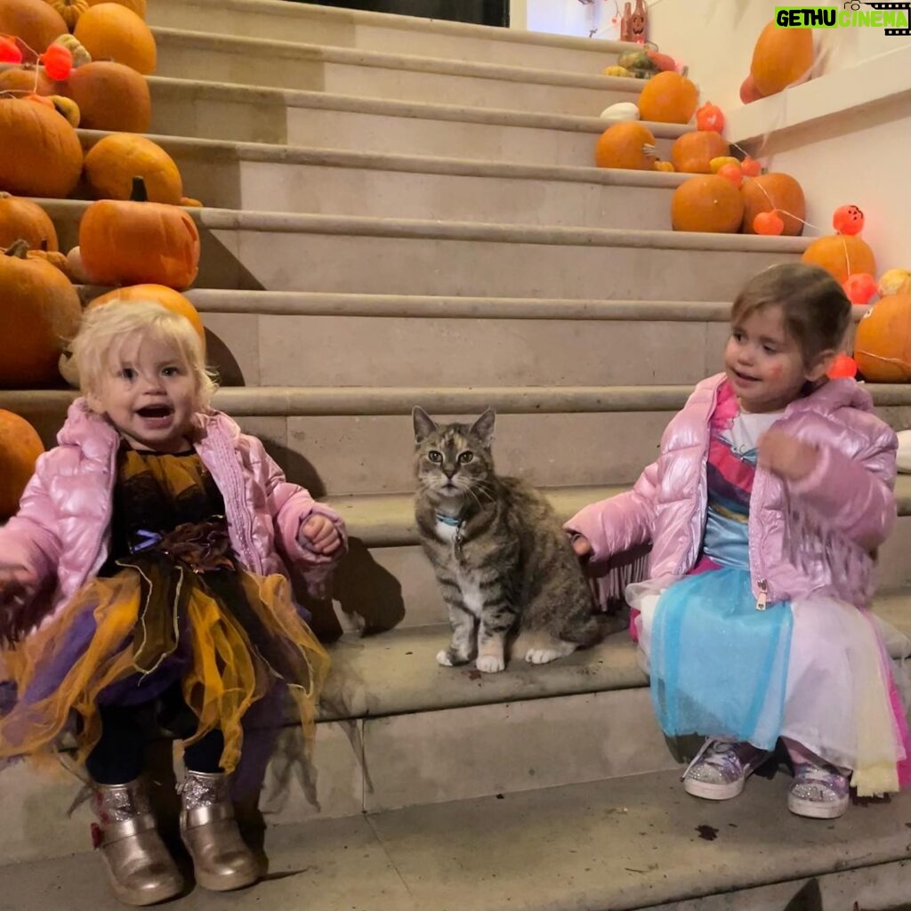 Rachel Riley Instagram - This cat didn’t know what hit it 😝🧙‍♀️👧🏻 Precious family time and no tricks all night, just lots and lots of caaaaaandy sweets - thank you London! 🍭🍬🍫🎃