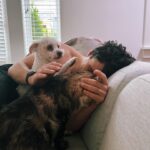 Rachel Skarsten Instagram - With a very heavy and quite frankly broken heart I said goodbye to my sweet Magnus yesterday. Anyone who follows me here is probably an animal lover so you know that pets can become more than just pets, they become family. Magnus was with me through many ups and downs, moved 6 times with me, made me smile/laugh every day even when I was sad, and from the minute I brought him home from the shelter he made himself right at home in my heart and life. Saying goodbye is inevitable when you have a senior animal, and it’s painful but so worth it. Thank you for adopting me Mags, there will only ever be one cat like you and I’m so grateful you spent your golden years with me.