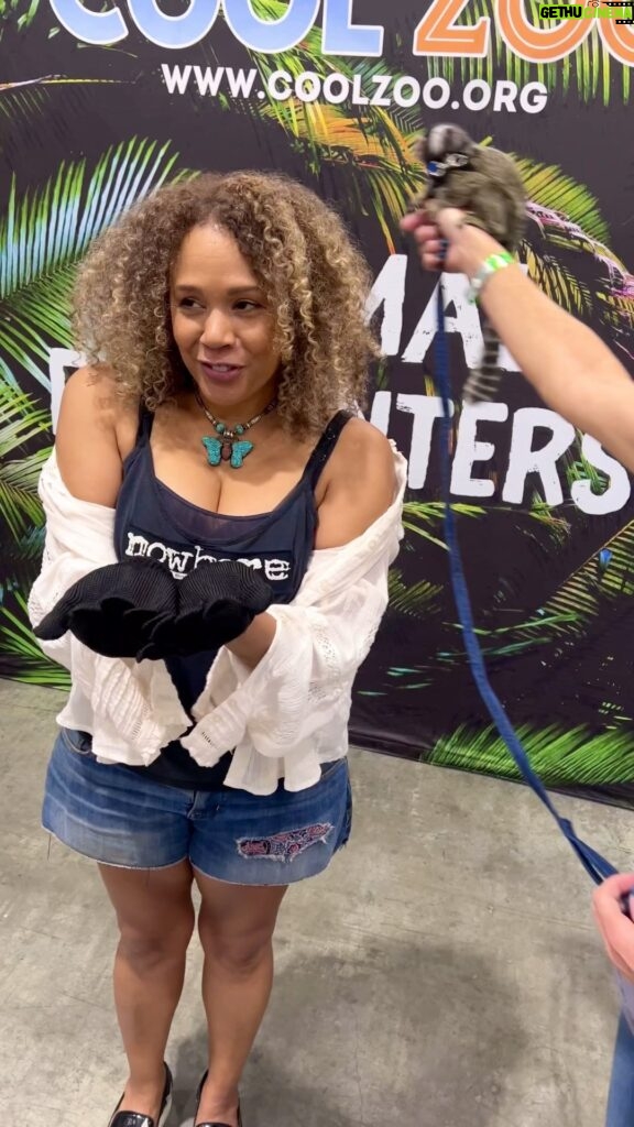 Rachel True Instagram - This is a super cute ambassador marmoset💕 at last wks @alabamacomiccon -later my globe trotting vet friend said they were ‘waiting for it to bite you’, it did not 😂 ⚡️I’m in person at the 🔥 @the420expos 🔥in Edison NJ all weekend starting tonight Friday 5-11 ⚡️Def come by & say or get hi &/or high 💨🥳 💨 I am def not all the Mary Jane you need but I am maybe some of the Mary Jane you want 💕 #racheltrue #marmoset #halfbaked #the420expo #maryjane