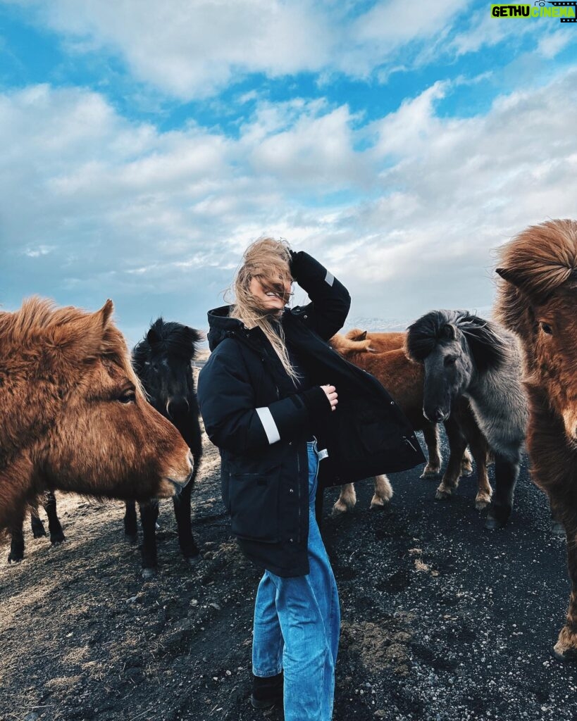 Ragga Ragnars Instagram - Just a whole bunch of horse content and trying to keep my hair out of my face in the beautiful March weather we are having here in Iceland. 🐎 #windy #iceland #horses #icelandichorse
