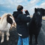 Ragga Ragnars Instagram - Just a whole bunch of horse content and trying to keep my hair out of my face in the beautiful March weather we are having here in Iceland. 🐎 #windy #iceland #horses #icelandichorse