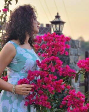 Ranjitha Menon Instagram - കടലാസ്സ്പൂക്കൾ ...💕

#bougainvillea #sunset #nature #girly #goldensky #beauty #mobilephotography #metime #enticing_gallery
