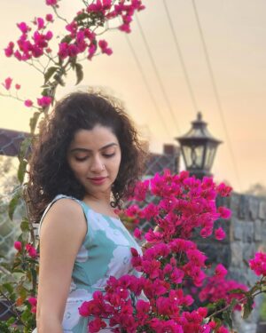Ranjitha Menon Instagram - കടലാസ്സ്പൂക്കൾ ...💕

#bougainvillea #sunset #nature #girly #goldensky #beauty #mobilephotography #metime #enticing_gallery