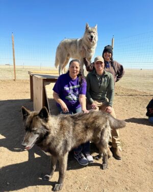 Raquel Pennington Instagram - Took the fam bam out to the @mattersvillevets wolf/wolf dog sanctuary ❤️ #TeamRocky #mattersville #veterans #mentalhealth #wolf #wolfdog #rescue #coloradolife #family