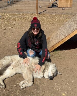 Raquel Pennington Instagram - Took the fam bam out to the @mattersvillevets wolf/wolf dog sanctuary ❤️ #TeamRocky #mattersville #veterans #mentalhealth #wolf #wolfdog #rescue #coloradolife #family