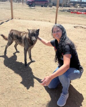 Raquel Pennington Instagram - Took the fam bam out to the @mattersvillevets wolf/wolf dog sanctuary ❤️ #TeamRocky #mattersville #veterans #mentalhealth #wolf #wolfdog #rescue #coloradolife #family