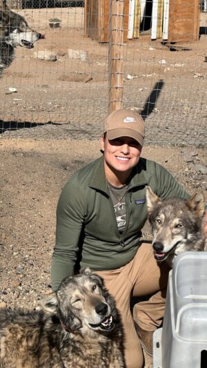Raquel Pennington Instagram - Yesterday we lost the most gentle soul 💔😢 This is truly the hard part about rescue. You never know what conditions these sweet babies are in. I’m just thankful Maximus learned love his last few weeks on this earth. ❤️🙏🏽🌈🐾 #Mattersville #rescue #mentalhealth #love #animals #wolf #wolfdog #veterans @mattersvillevets