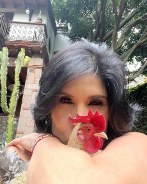 Raquel Garza Instagram - #jacinto …..

#amor #gallo#pet #petstagram #petlovers #ave