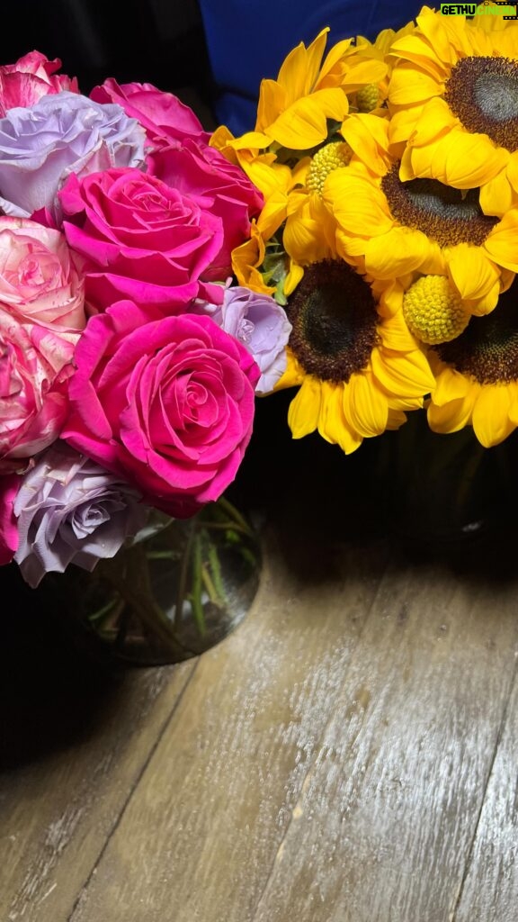 Raven Goodwin Instagram - 🌹🌻🧘🏾‍♀️ Flowers from @traderjoes 💜💫