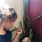 Rayana Carvalho Instagram - O bom dia de hoje foi com ele dizendo que as plantinhas falam e que também dava para sentir o amor delas. Fico cada vez mais impressionada com a sensibilidade dessas crianças iluminadas. Logo pensei... Quando todos nós nos conectarmos com nossas crianças internas, teremos uma existência de puro amor. Eu acredito!❤️✨