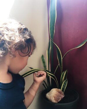 Rayana Carvalho Instagram - O bom dia de hoje foi com ele dizendo que as plantinhas falam e que também dava para sentir o amor delas. Fico cada vez mais impressionada com a sensibilidade dessas crianças iluminadas. Logo pensei... Quando todos nós nos conectarmos com nossas crianças internas, teremos uma existência de puro amor. Eu acredito!❤️✨