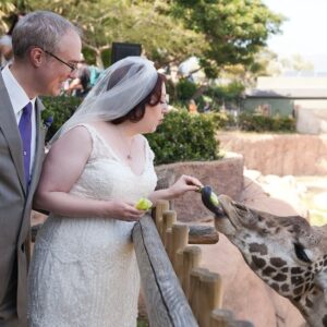 Rebecca Metz Instagram - Just saw the news that Audrey died last night. It may seem strange to mourn a giraffe, but Audrey meant a lot to me. She–specifically a photo of her beaming proudly between a bride and groom–is the reason I latched on to the idea of getting married at @santabarbarazoo. And why we’ve ended up with a lot of weird & beautiful giraffe art/tchotchkes. And this photo of Dad feeding her… Well. It’s precious to me. Goodbye, sweet Audrey. Rest easy.