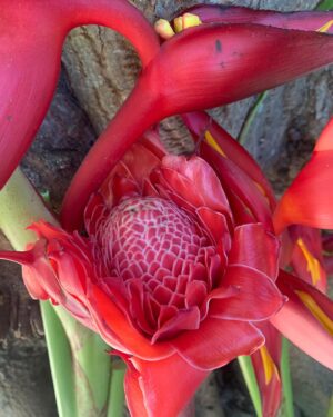 Rebecca Jones Instagram - my heart 
is like a singing bird