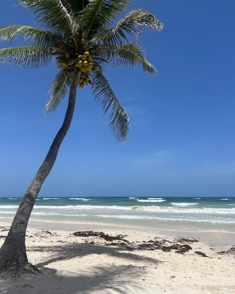 Regina Pavón Instagram - 🌞 🌊🌊🌊