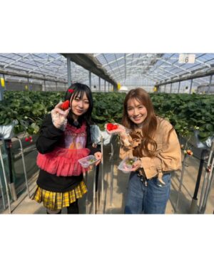 Reika Saiki Instagram - 今朝のいまたま🤗女子回💓

アンゴラちゃんといちご尽くしのバスツアー！🍓
最高すぎましたっ！
画面から楽しさ伝わったんじゃないでしょうか！

いちごを採って食べて買って、、
身も心もいちごで満たされました🤤🍓🍓🍓