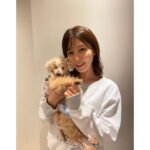 Reimi Tsutsumi Instagram - 🐩🎂 先日、我が家のりんさんが19歳になりました！ これからも元気で楽しい毎日を過ごせますように…♡ りんちゃんいつもありがとう💓 . そして私も先月29歳となりました。 20代最後の1年、何事にも全力で、笑顔で過ごしたいと思っています！ 今後ともどうぞ宜しくお願い致します🤲 . #19歳と29歳 #あんさんも一緒にお祝い #今年は特別に2匹にそっくりなケーキを🎂 #耳のつき方まで細かく再現されていて、たまらなく可愛いケーキでした🥺