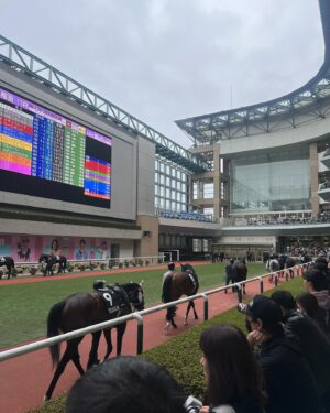 Reina Fujie Instagram - ♥
久々に福島競馬場へ🏇
2017年にプレゼンターと私を競馬につれてっての
公開収録をさせて貰ったぶりかな？
あっちこっち行ってかなり競馬場を堪能できたよ！
またお仕事でも来られます様に！

ご飯も凄く美味しかったし福島満喫です🙂‍↕️🙂‍↕️🙂‍↕️
・
・
一番最後の写真はカメラマンに"センスで！"
ってお願いしたらほぼ私、切られてました😡！！！((ちくしょー))

#福島競馬場 #競馬 #福島 #UMAJO