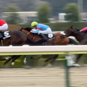 Reina Fujie Instagram - ♥
久々に福島競馬場へ🏇
2017年にプレゼンターと私を競馬につれてっての
公開収録をさせて貰ったぶりかな？
あっちこっち行ってかなり競馬場を堪能できたよ！
またお仕事でも来られます様に！

ご飯も凄く美味しかったし福島満喫です🙂‍↕️🙂‍↕️🙂‍↕️
・
・
一番最後の写真はカメラマンに"センスで！"
ってお願いしたらほぼ私、切られてました😡！！！((ちくしょー))

#福島競馬場 #競馬 #福島 #UMAJO