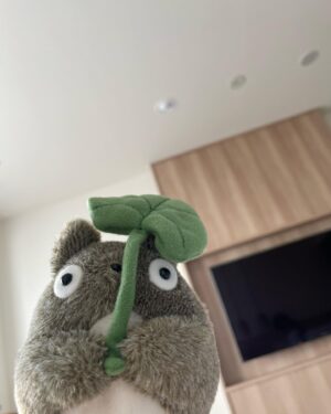 Reina Hardesty Instagram - My soul came home in 日本