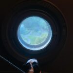 Renée Felice Smith Instagram - stay curious. #gustheenglishbulldogrescue