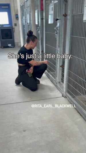 Renée Felice Smith Instagram - @istandwithmypack to the rescue! Used to be puppies would fly out the shelter doors to adopters. Not anymore. 

This little doll baby is just 6 months old 28lbs. She spent 30 days waiting in the shelter with ZERO interest. She was cleared for euthanasia. 

New life = New name: 🖤JET🖤

Please consider donating to her care or shopping the rescue Wish List to send some love! It’s how we show our appreciation for this tiny, beautiful life saved.  Thanks to rock star foster aunties @monikafelicesmith and @reneefelicesmith for stepping up and scooping up and saving her life! 

Share this video to share the joy and spread the word about shelter dogs. Drop a 🖤 to welcome Jet to the family! I love her!!

Thank you @lancasteranimalslaco for taking care of her. Staff is awesome but your policies are ridiculous, out dated  and deadly. 🙅🏻‍♀️ and no one who can change it gives a fuck. 

#A5620549 #seenequalssaved #losangelesadoptabledogs