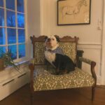 Renée Felice Smith Instagram - Christyyymistttyyyy pt I