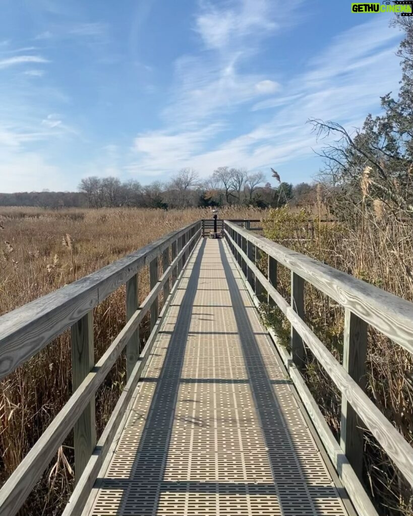 Renée Felice Smith Instagram - get thee to the creek!