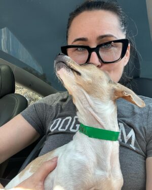 Rena Sofer Instagram - Please meet my latest #foster Cassie!!! How sweet is she?? I picked her up today from @hellosouthladogs in south central LA. This baby is only a year or so old and has a broken back leg. The rescue needs our help to pay for her surgery! Can anyone help donate? Any amount really does help!! Go to @lisachiarelli and donate!!! I’ll keep you posted on her recovery and her journey to finding her furever home!!!! FOSTERING SAVES LIVES!!! This girl was going to be euthanized because of her leg! Please everyone. Think of opening your hearts and homes and foster a shelter dog!! Thank you!!!! 🙏🏻 🙏🏻🙏🏻🙏🏻🥰🥰🥰 #fosteringsaveslives #foster #adoptdontshop