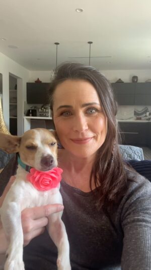 Rena Sofer Instagram - Are you joining me and @vanessamarcilmlovesk this Friday May 3 for our ZOOM WITH YOUR FAVORITE PET??? If you haven’t bought tickets yet please do so @coastalentnyc and join our party!!! And if you want to help donate funds for Cassie’s surgery you can do so @lisachiarelli  she is my new #foster and she is gonna be my go to favorite pet for the zoom!! I can’t wait for you to meet her and to hang with you all!!! See you Friday!!! #adoptdontshop #fosteringsaveslives #foster
