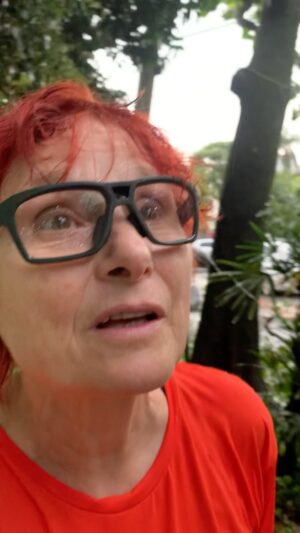 Renata Falzoni Instagram - Imensa árvore de uns 30 anos de idade e pelo menos 25 metros de altura cai e fica pendurada em fios de alta tensão. Triste de ver!!